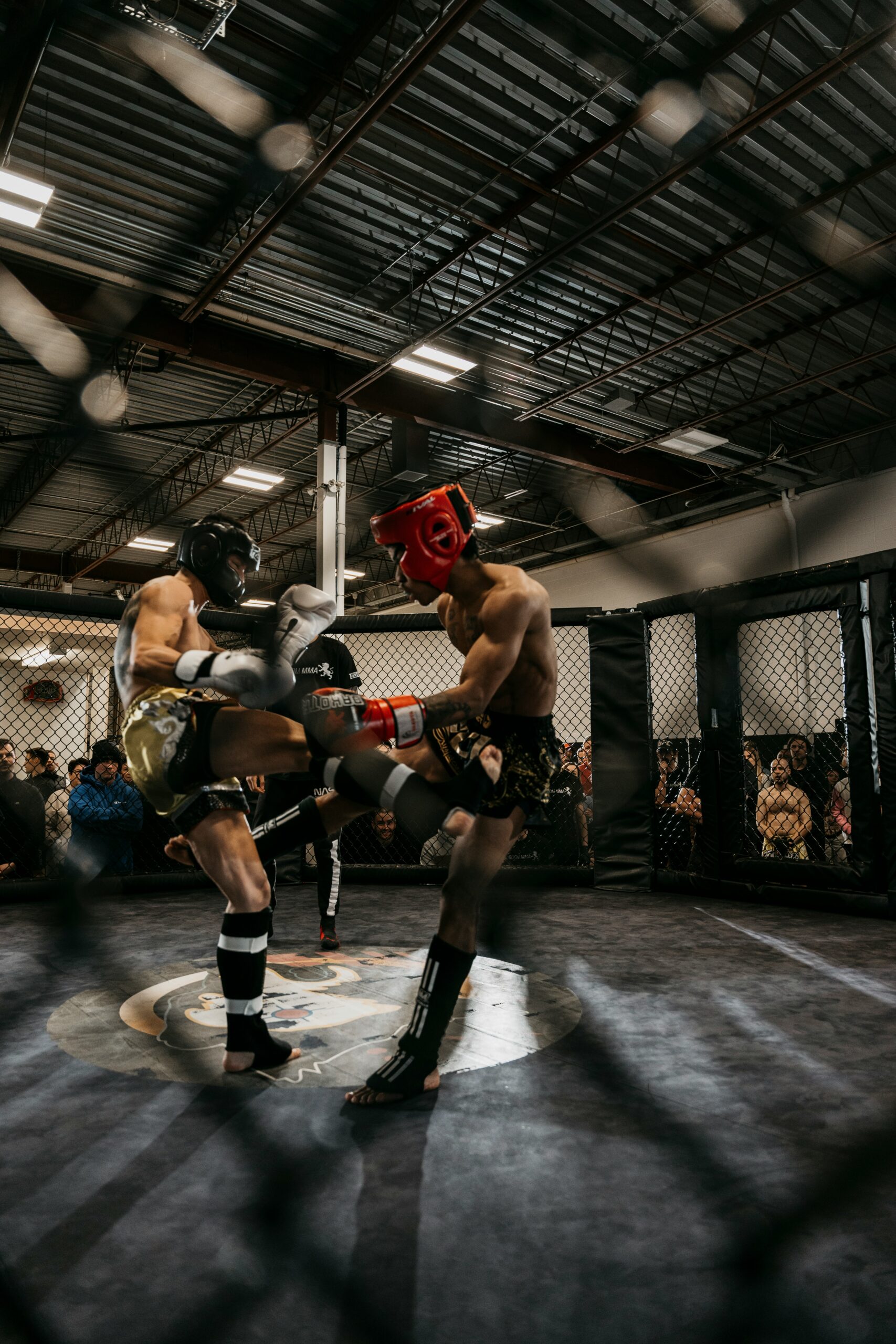 cours-muay-thai-montreal